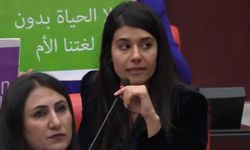 Meclis'te Kürtçe ve Lazca krizi! İki kez mikrofonu kapatıldı
