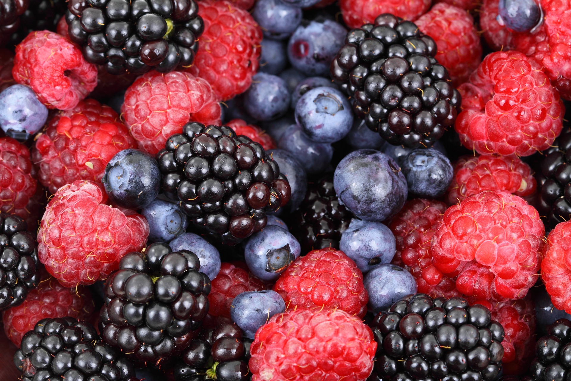 berries-ga3c61fa7d_1920