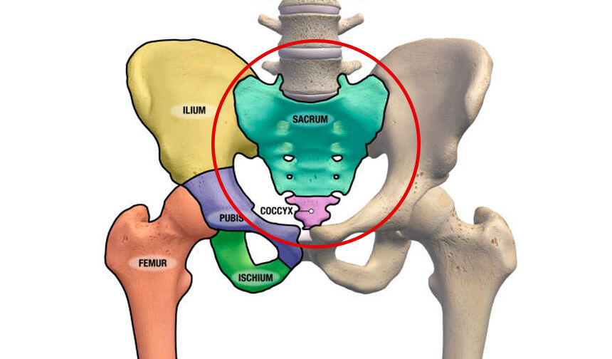 sakrum-kemiği